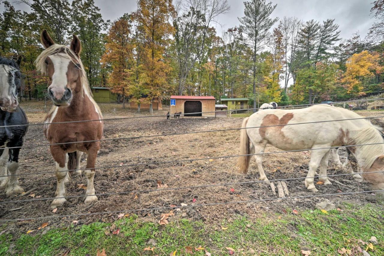 Cheyenne Ranch Apt With 50 Acres By Raystown Lake Huntingdon Buitenkant foto